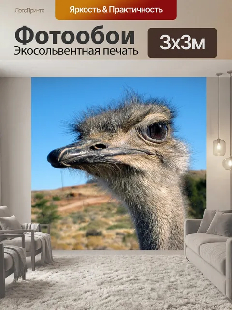 Фотообои Штраус