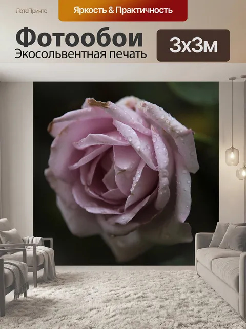 Фотообои Голубая луна роза