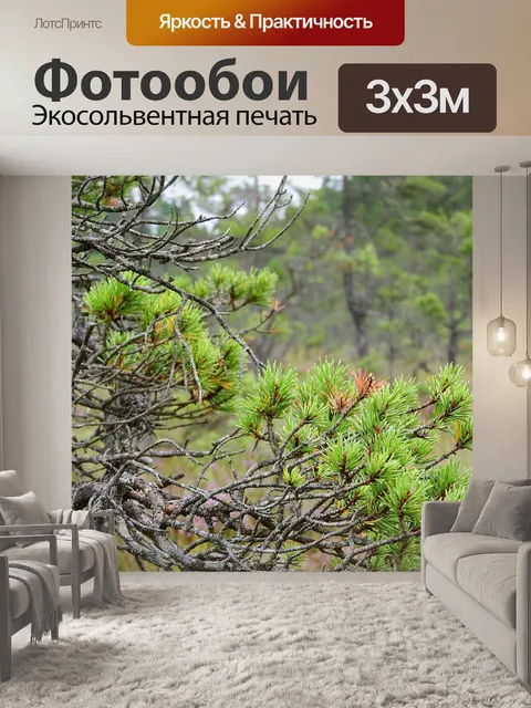 Фотообои Сосна