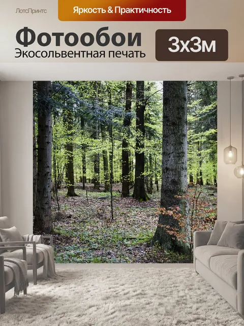 Фотообои Лес