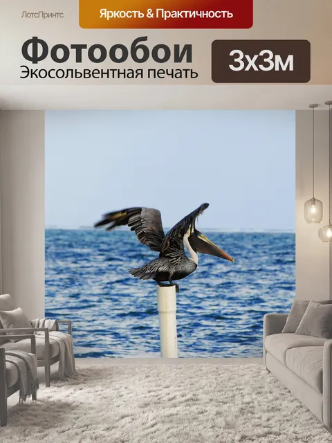Фотообои Пеликан