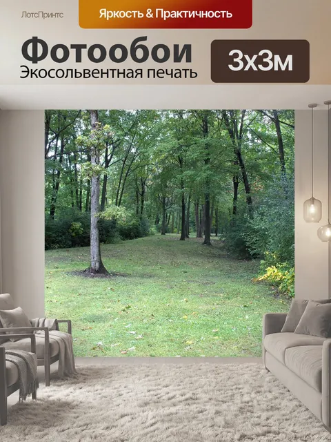 Фотообои Парк