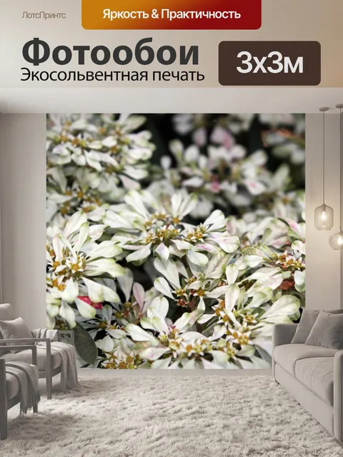 Фотообои белые цветы 2