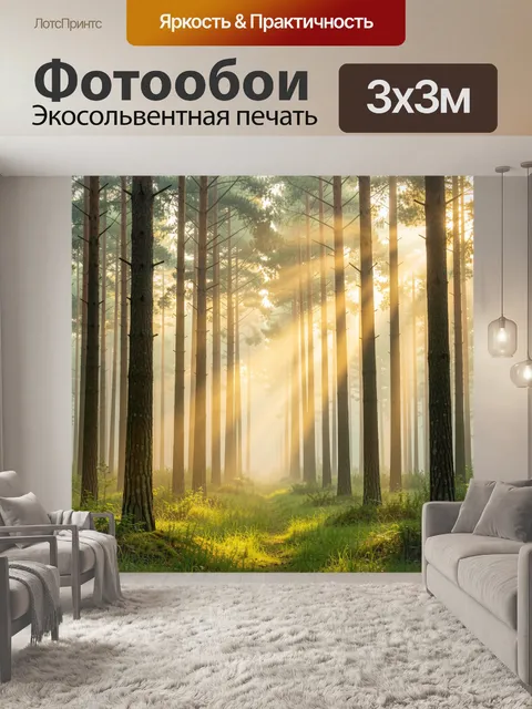 Фотообои Солнечный лес в утреннем тумане