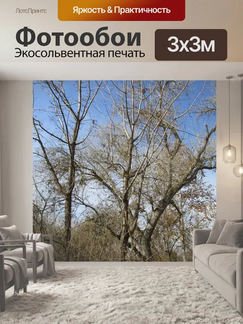 Фотообои Деревья 3