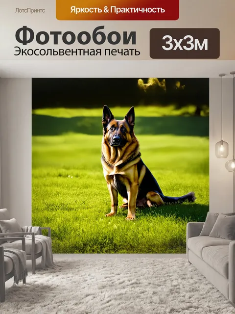 Фотообои бельгийская овчарка, сидящая на зеленом лугу, с поднятой головой и внимательным взглядом, изображенная в…