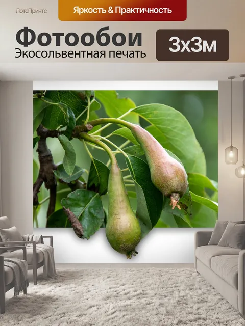 Фотообои Груши, фрукты, обработка фотографий