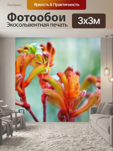 Фотообои Кенгуру лапа