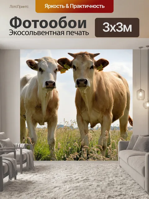 Фотообои Бык