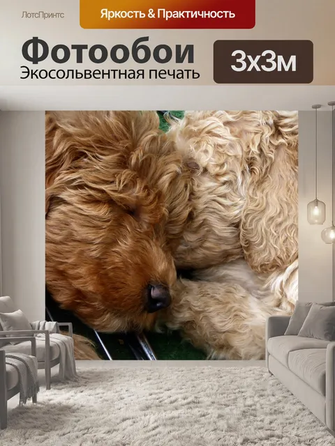 Фотообои Щенки