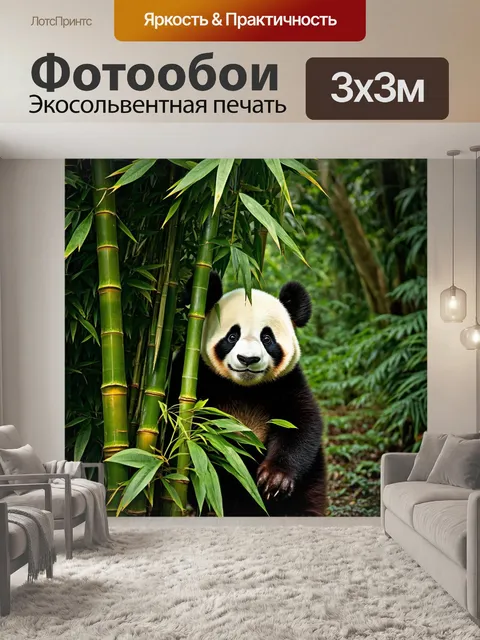 Фотообои в густом тропическом лесу