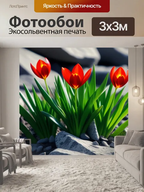 Фотообои тюльпаны, растущие на скалистой местности