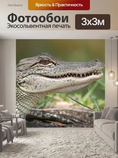 Фотообои Американский аллигатор