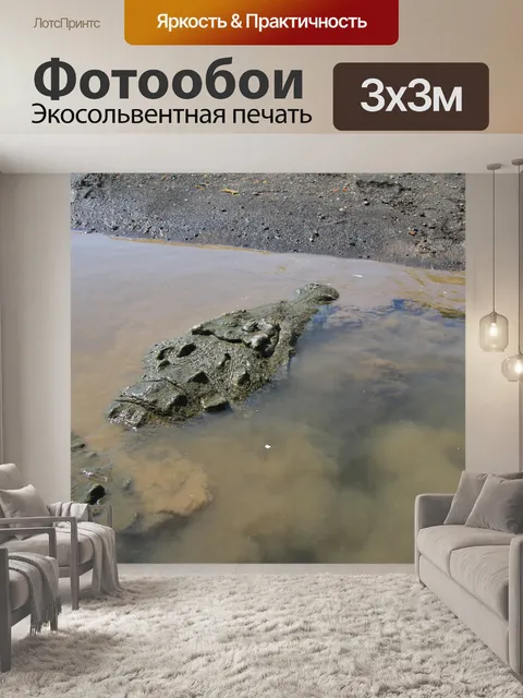 Фотообои Коста-Рика Крокодил