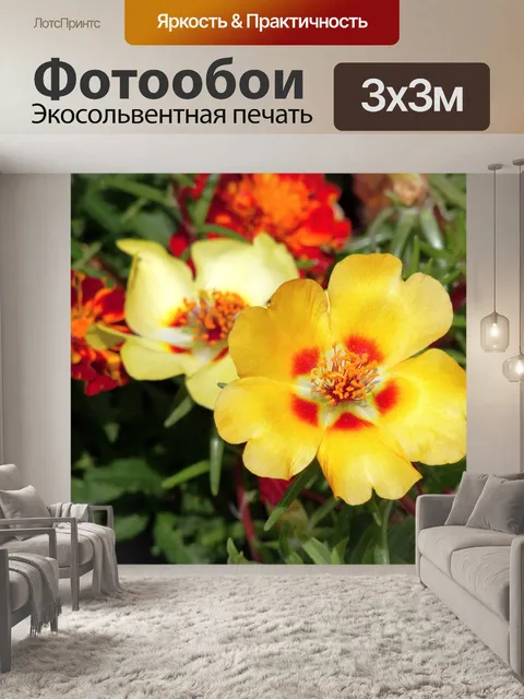 Фотообои Мосс роуз