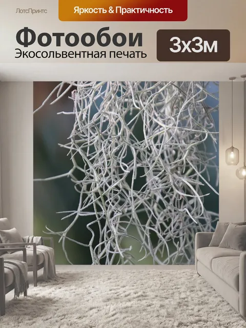 Фотообои Эпифитное растение