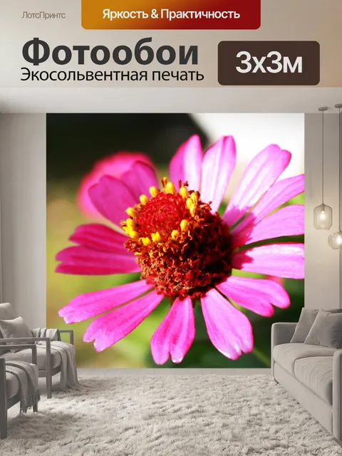 Фотообои Розовый Свеча Цветок Утро