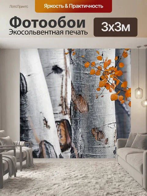 Фотообои Березы