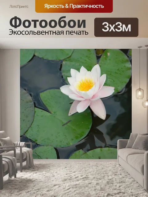 Фотообои Цветок