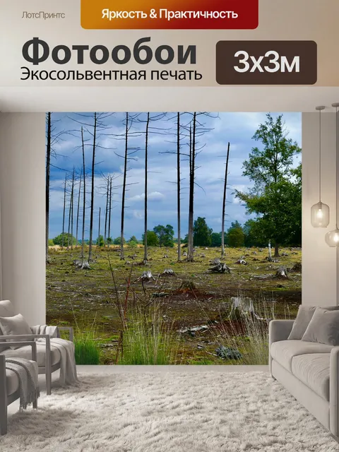 Фотообои Пейзаж