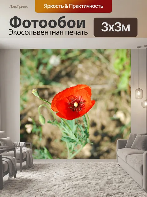 Фотообои Мак