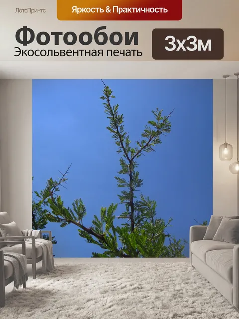 Фотообои высокорасположенная ветка с новыми листь