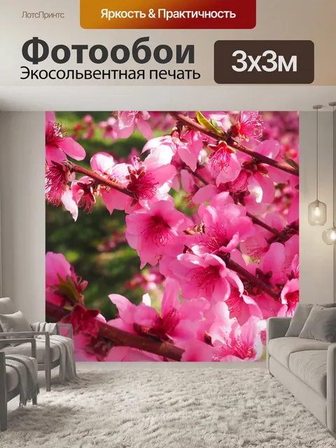 Фотообои Роза