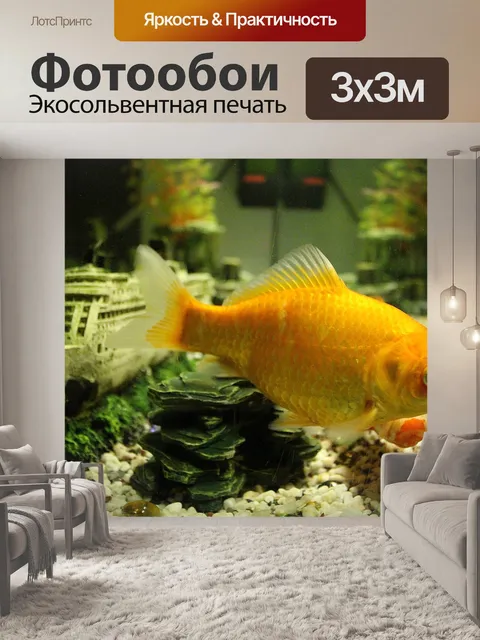 Фотообои Рыбы