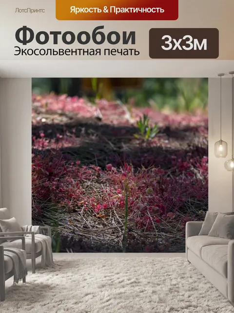 Фотообои Клейтония красная полевой цветок