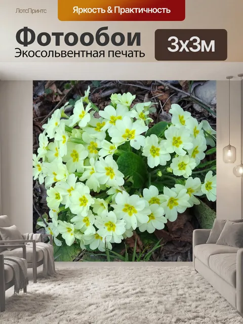 Фотообои Первоцветы