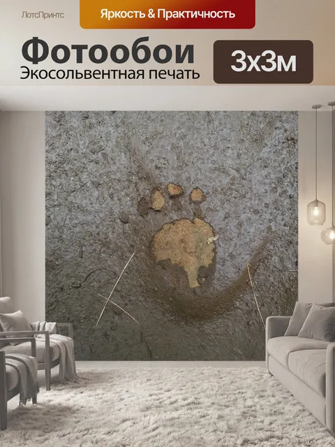 Фотообои Медведь след