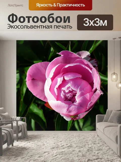 Фотообои Пион