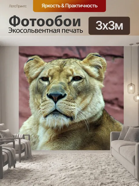 Фотообои Львица