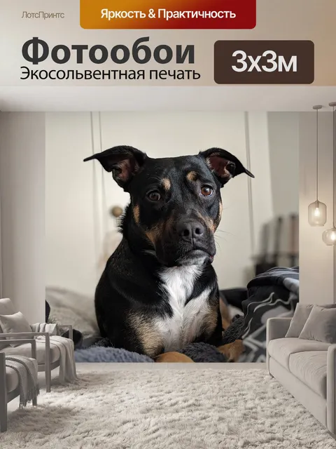 Фотообои Собака
