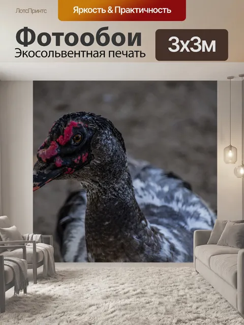 Фотообои Молодой москвичей