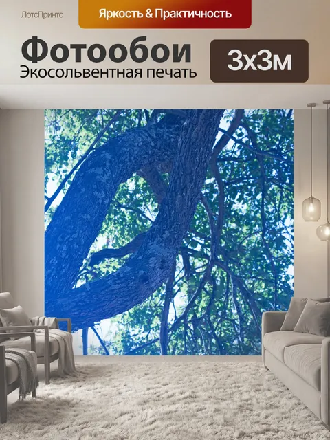 Фотообои толстые ветви шипа буйвола