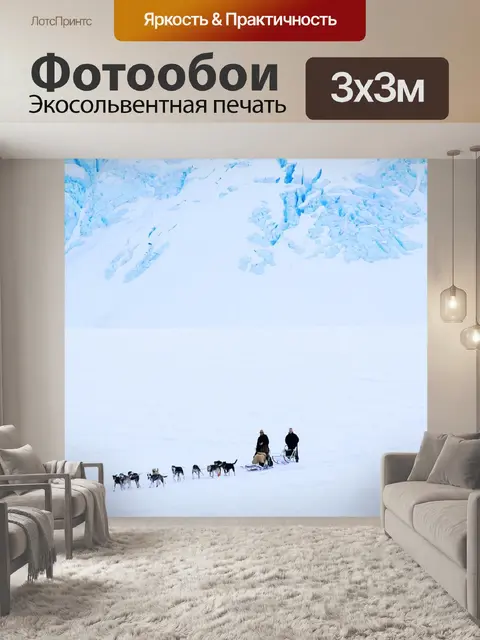 Фотообои Собачьих упряжках