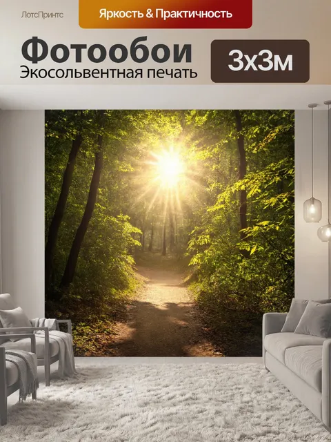 Фотообои светлый фон с солнечными лучами, пробивающимися через листву, на переднем плане лесная тропинка