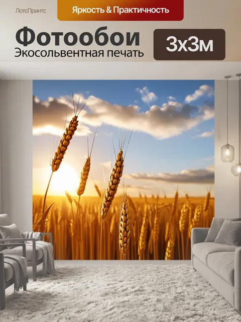 Фотообои колос на фоне заката
