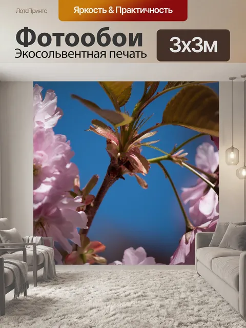 Фотообои Японская сакура