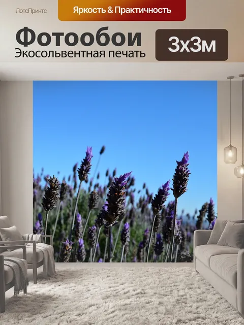 Фотообои Лаванда