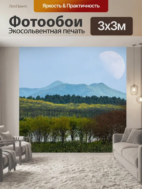 Фотообои Лес