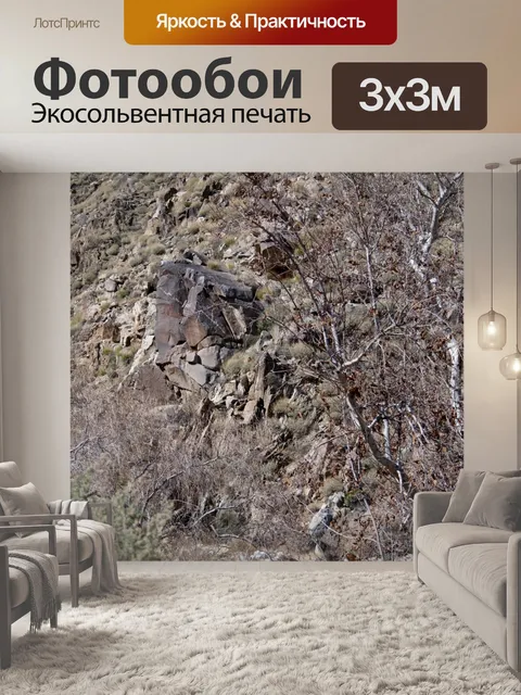Фотообои Голые деревья и скалы