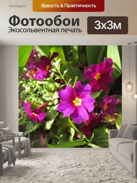 Фотообои Первоцветы
