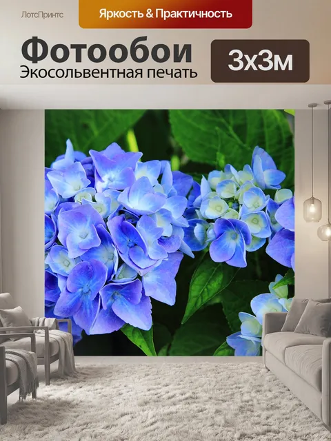Фотообои Гортензия