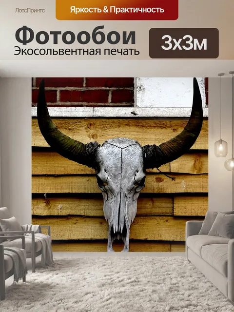 Фотообои Бычья корова быка череп рога