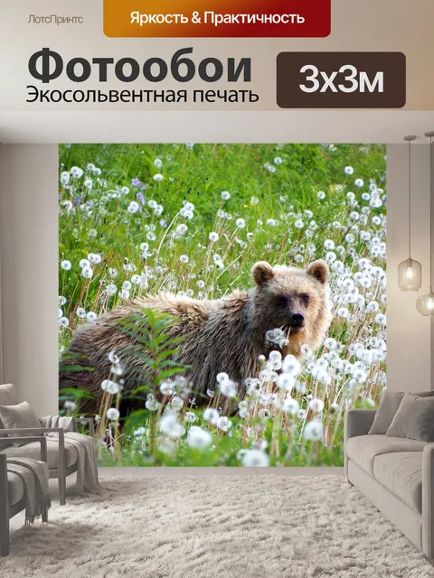 Фотообои Бурый медведь