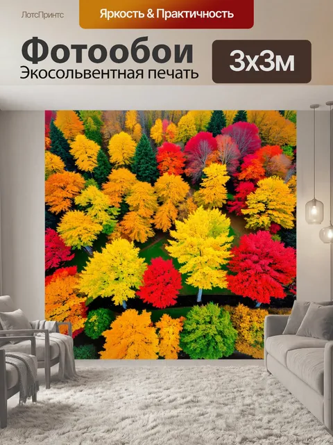 Фотообои осень в сверху, красивая панорама золотых и красных деревьев, свежий воздух
