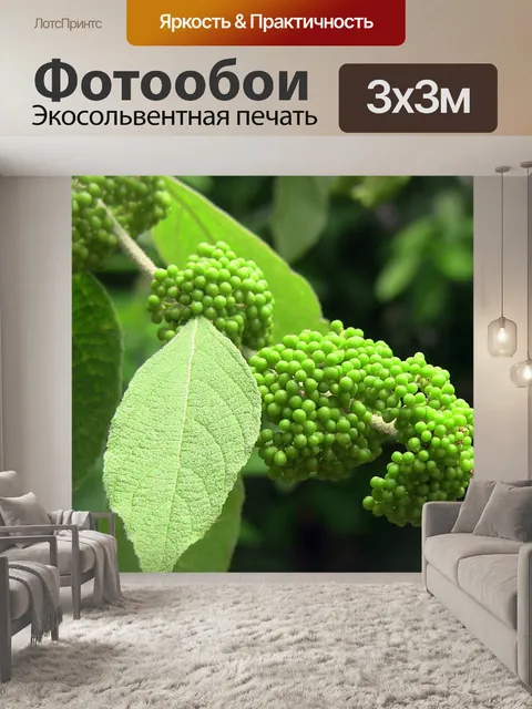 Фотообои Зеленый горошек