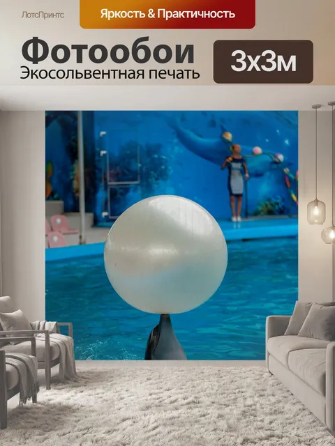 Фотообои Дельфин